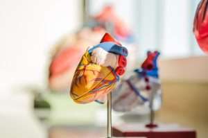 self funding medical insurance